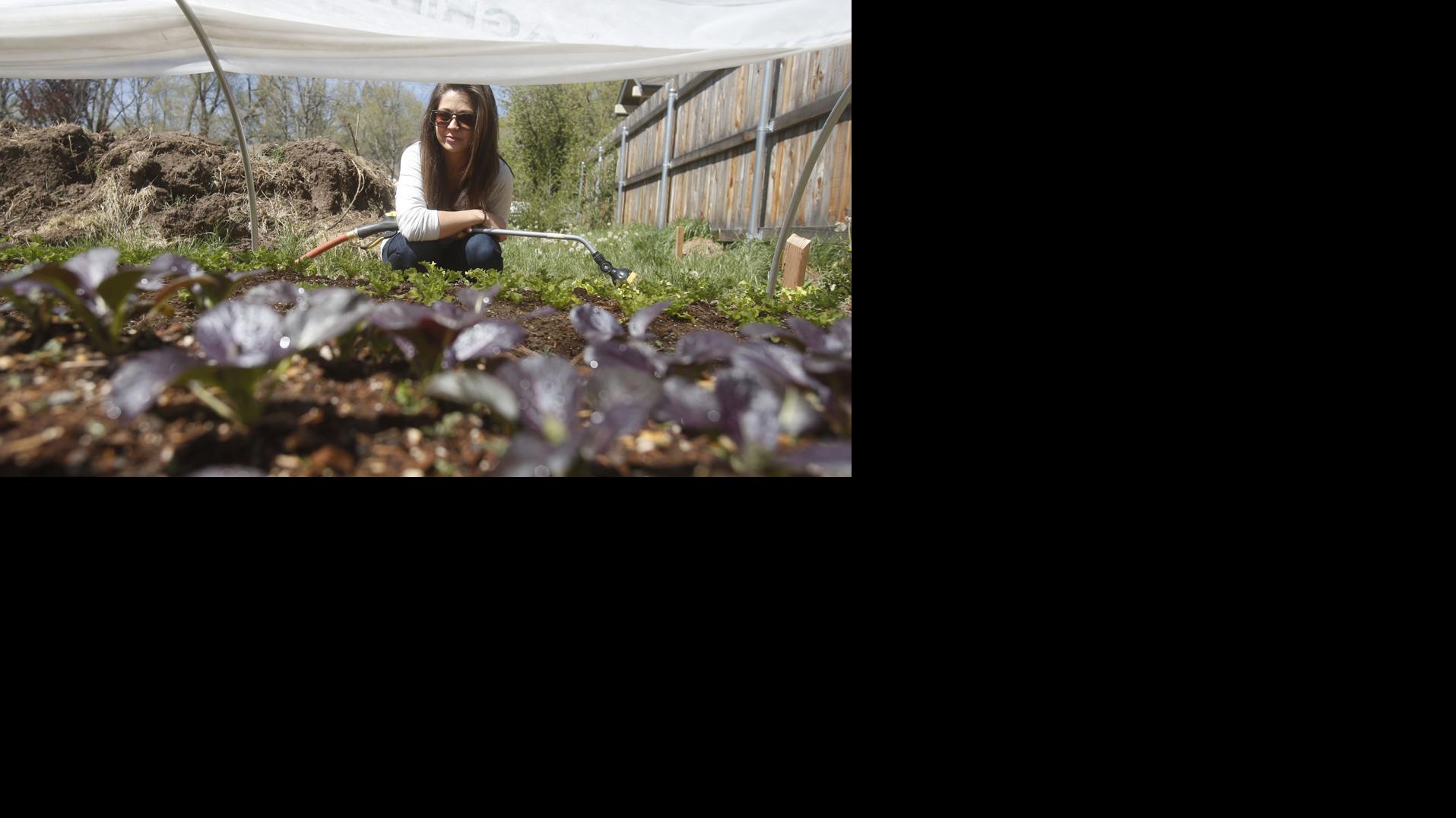 Local farmers aim to get their food into more hands