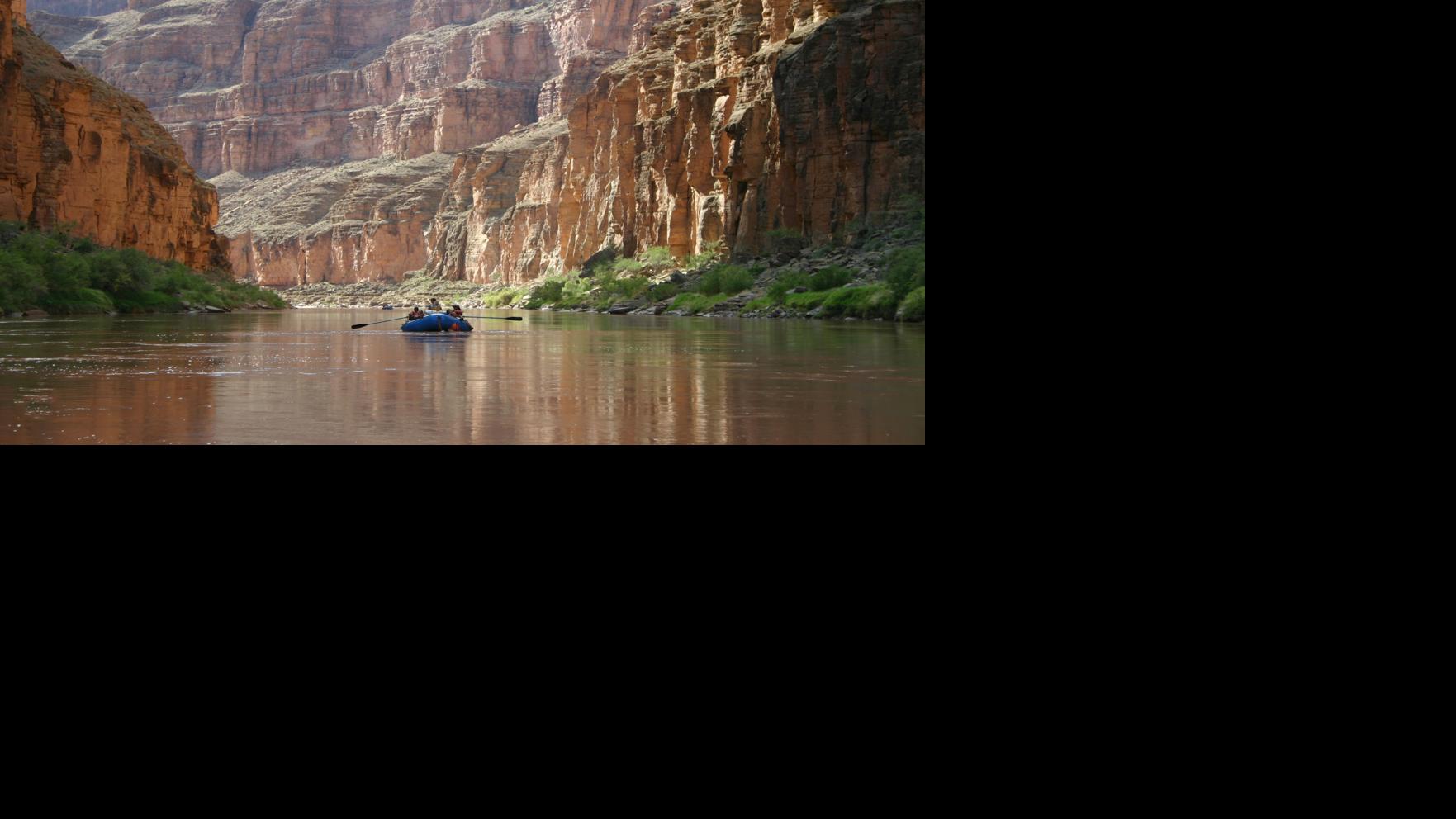 Scientists concerned about beetles' effect on rare bird