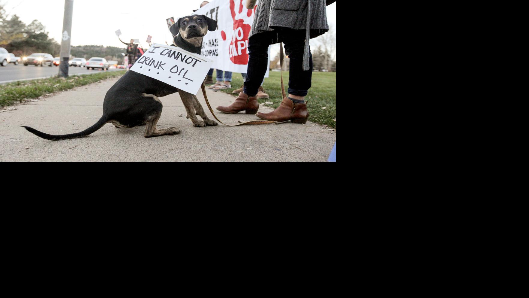 Pipeline protest draws hundreds to Flagstaff City Hall