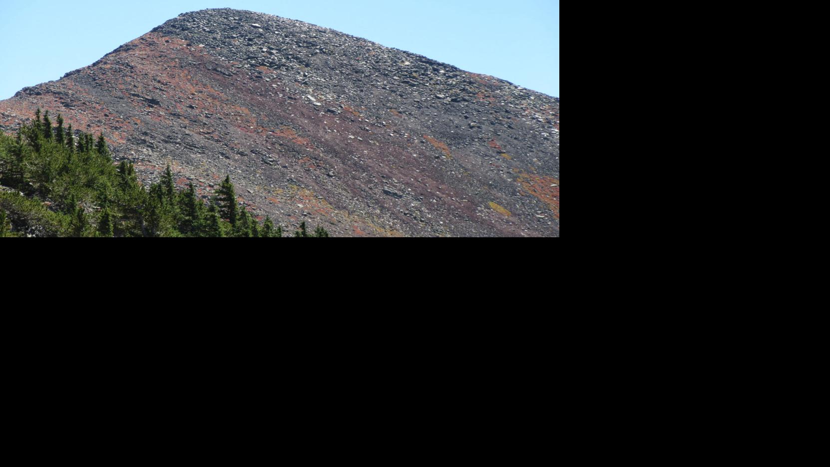 Nature Notes: Fall on the tundra of the San Francisco Peaks