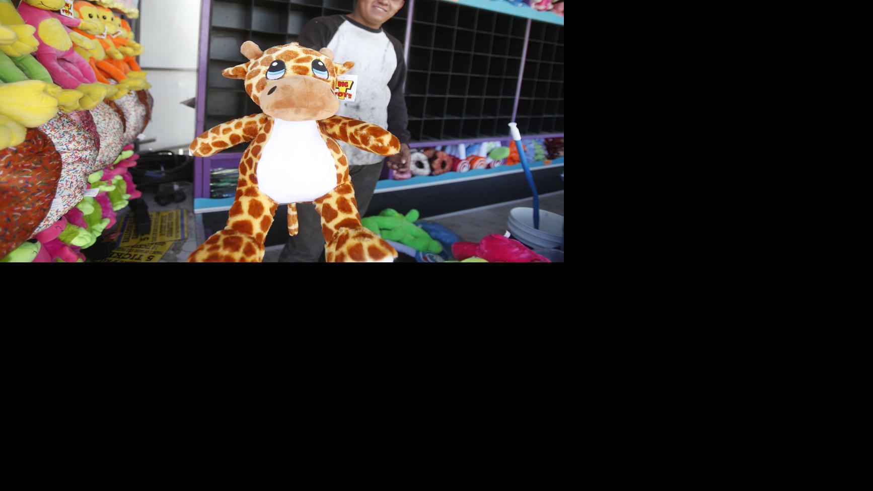 Get ready for county fair