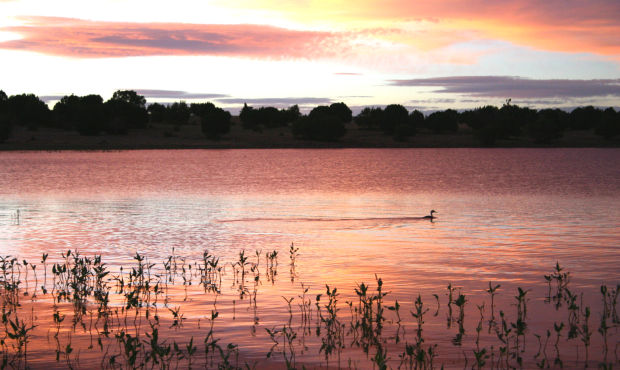 You won't find a better image of lake kinnikinnick fishing