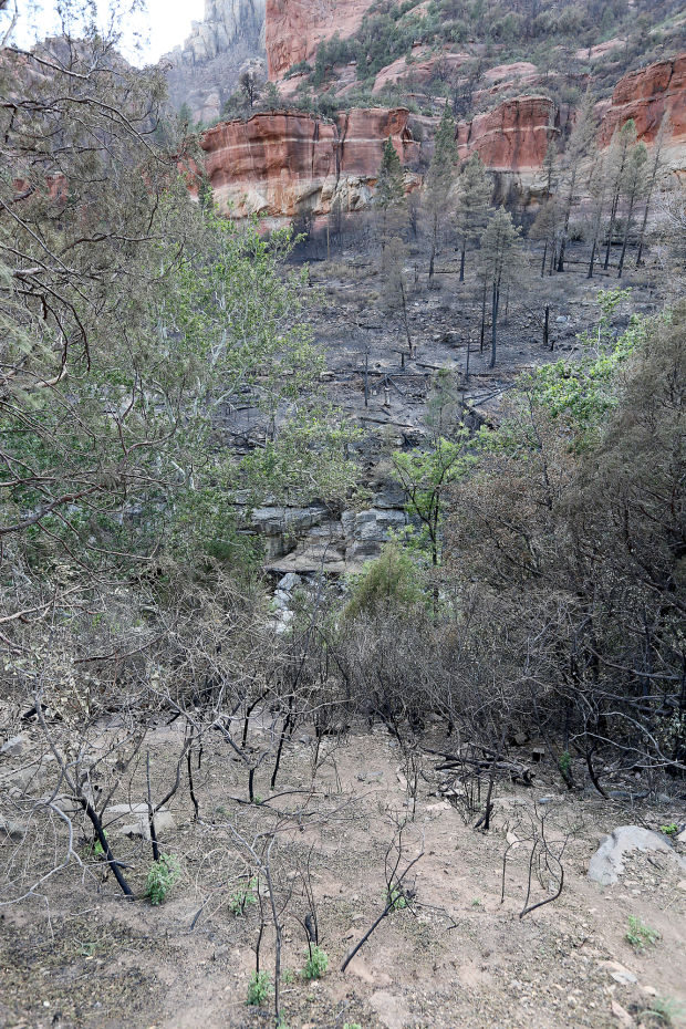 Grim flood forecast for Oak Creek Canyon burn area