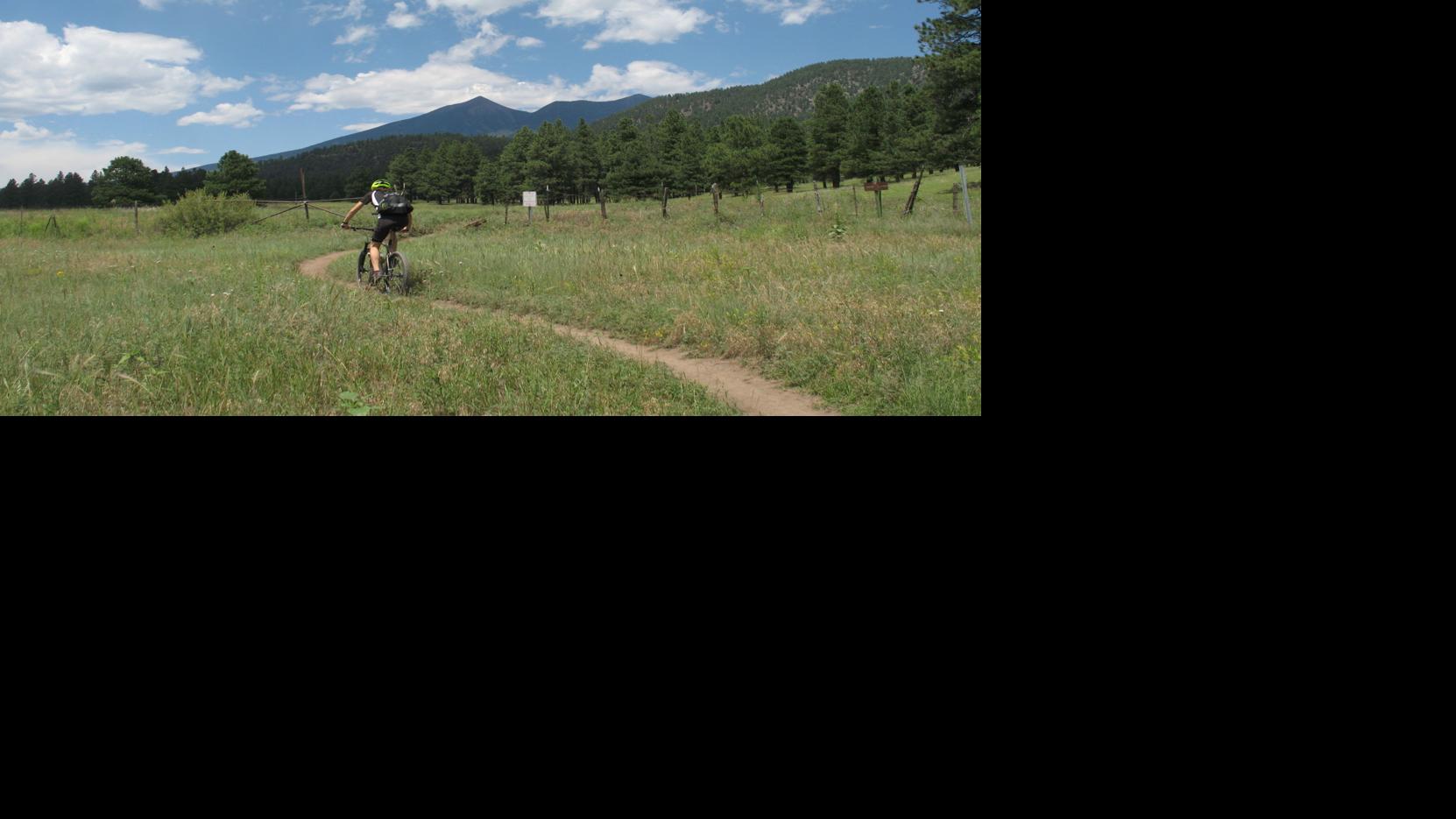 Museum looks at options for 89 acres