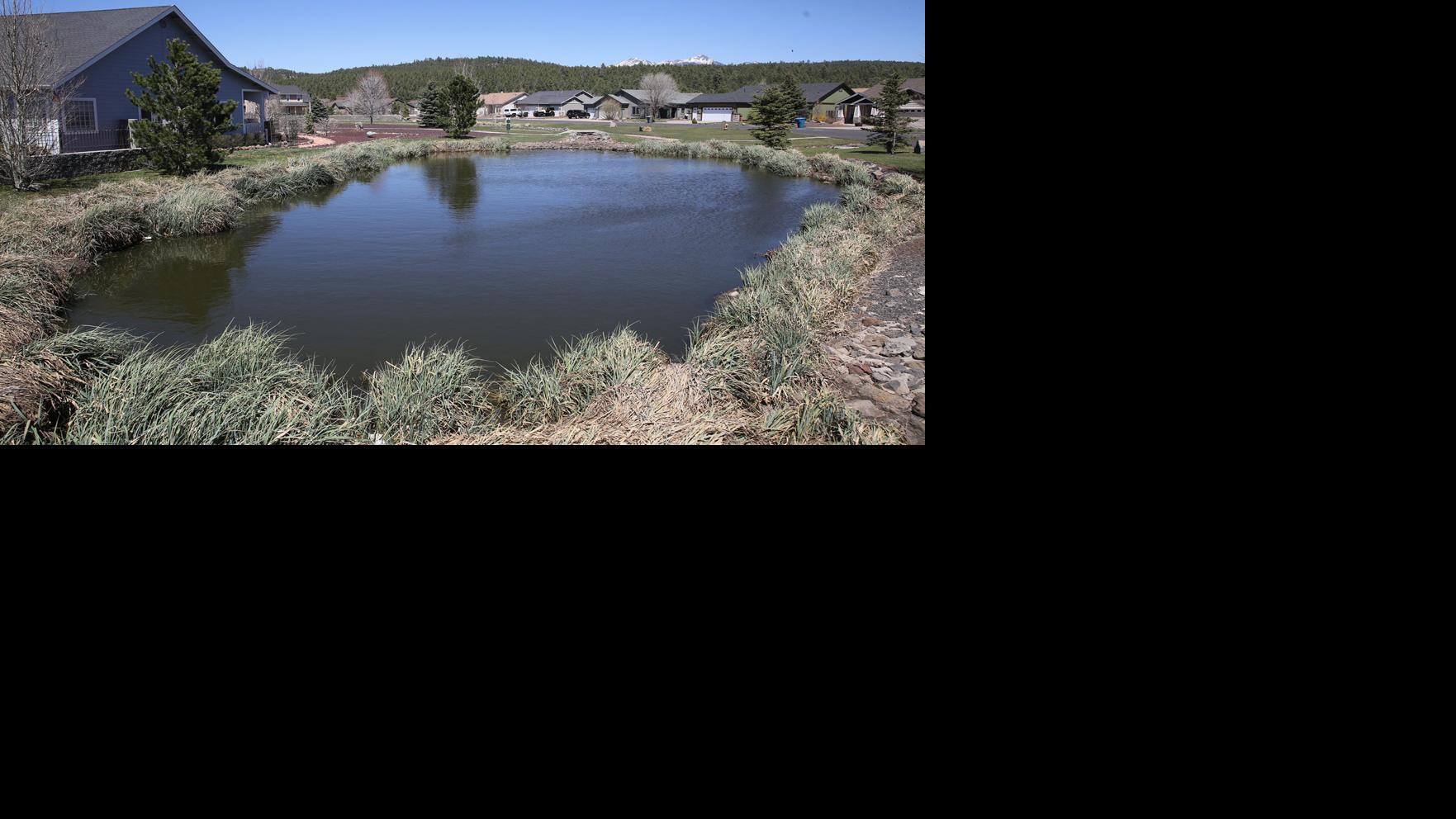 Listening in: Bellemont growing left and right