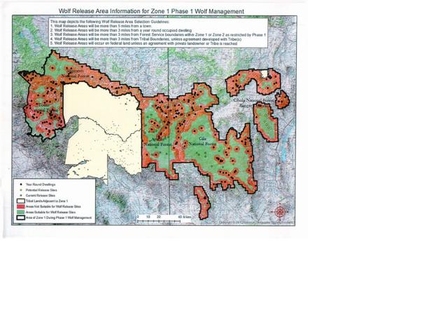 Preliminary Mexican wolf release map