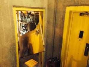 State fines Nestle Purina for September explosion