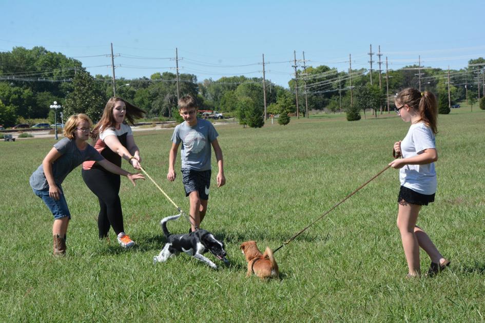 Staying active, out of trouble