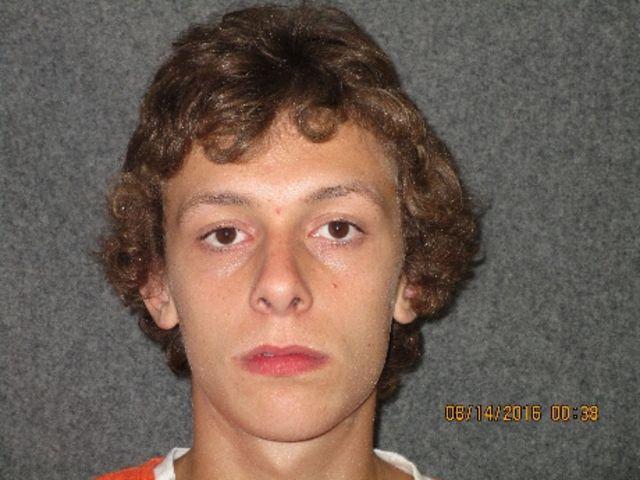 Sentence given in library vandalism case