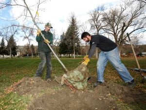 Billings will celebrate Arbor Day with the governor April 25