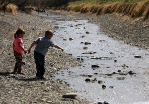 Feature photos: Filling the BBWA canal