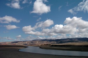 Algae bloom on Bighorn River irks irrigators, anglers