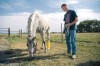 Eddie the horse 
