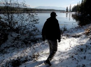 No new walleye found in Swan Lake