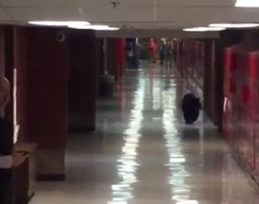 Bear gets inside Bozeman high school | Montana News | billingsgazette.com