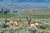 Espenscheid ranch easement