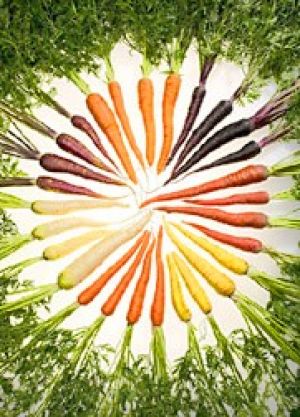 Rainbow carrots have even more beta carotene than regular orange ...