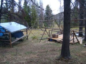 Man banned from federal land for illegal hunt camp