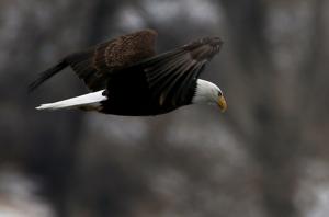 Feature photos: Eagle-eye views