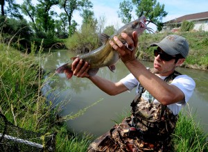 Fish study inaugurates new scientific collaboration