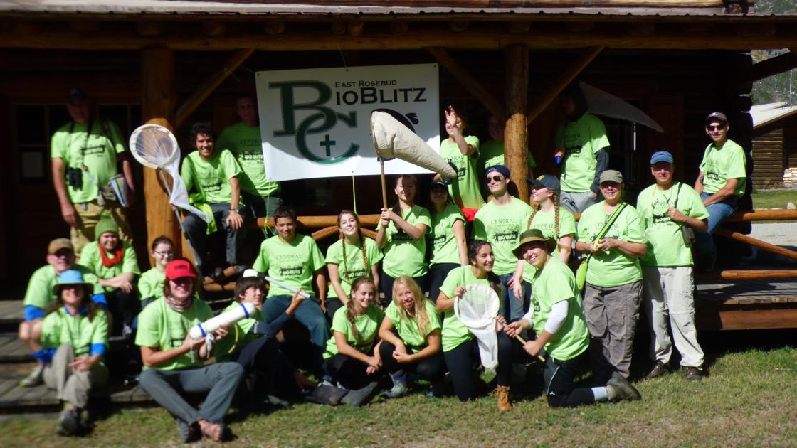 East Rosebud BioBlitz takes Billings Central science classroom into the wild - Billings Gazette
