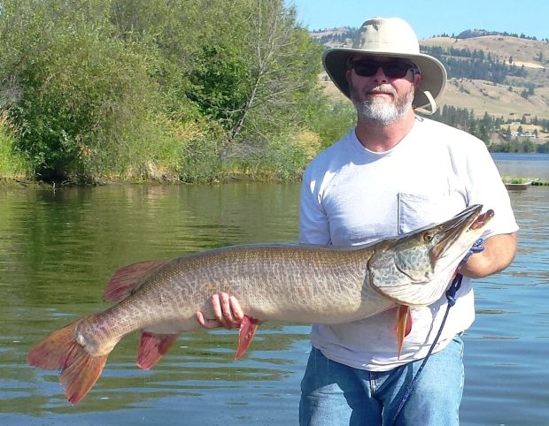 Record tiger muskie