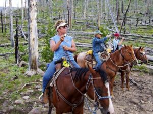Couple seeks damages from Wyoming sheriff's office for horse shooting Couple seeks damages from Wyoming sheriff's office for horse shooting
