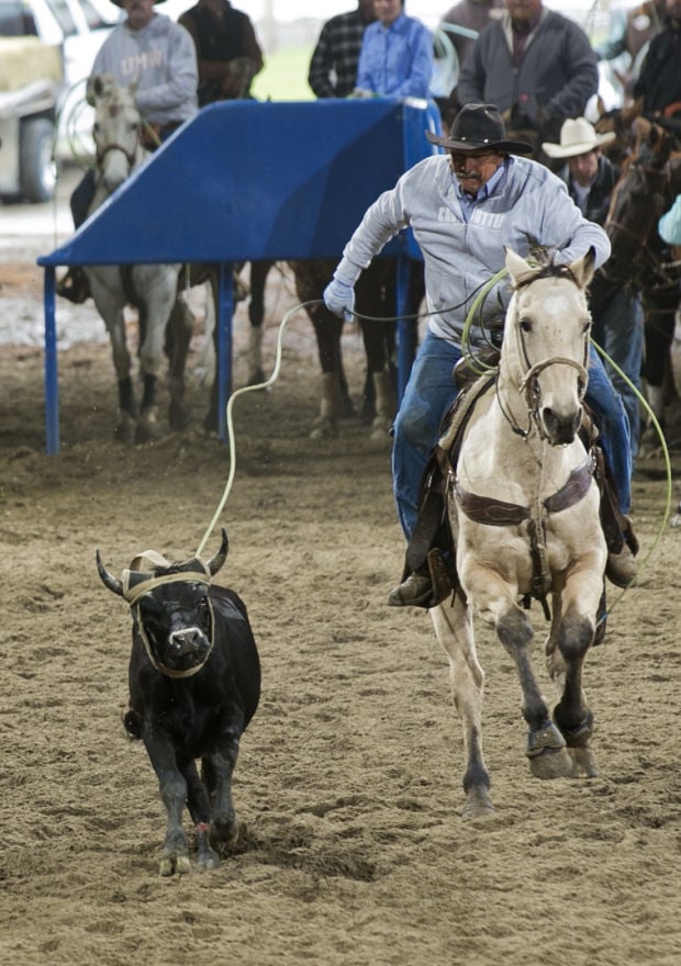 Feature photos and video Wrangler Team Roping Championships