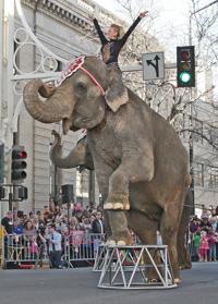 Shrine circus discount coupons
