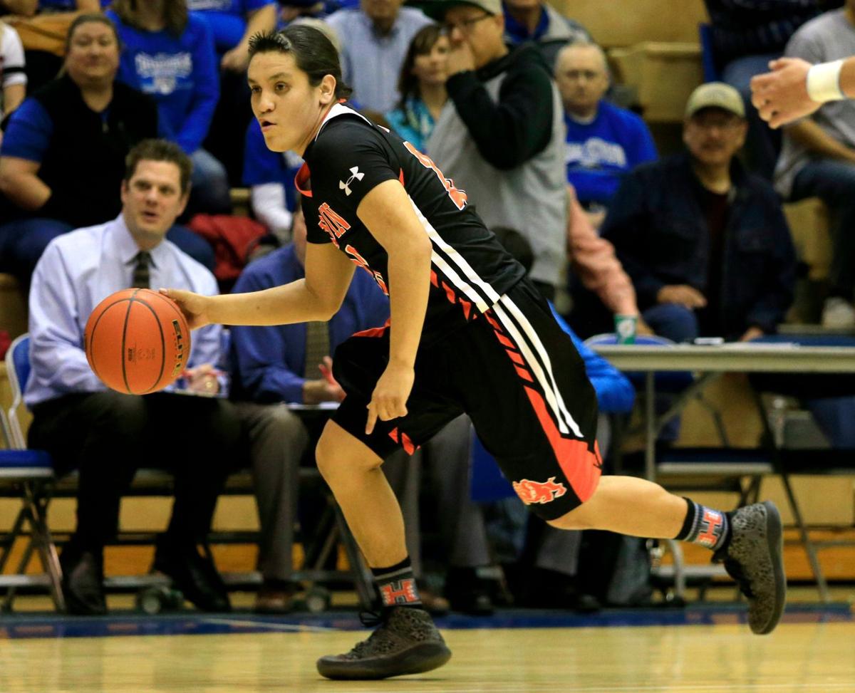 Hardin's Holman Real Bird