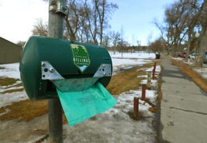 Pets on leashes welcome in Billings parks beginning Wednesday
