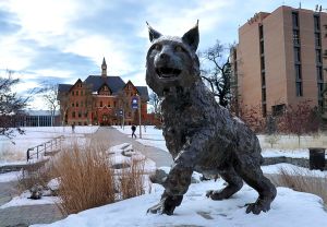 Man pleads guilty in Montana State University student's overdose death