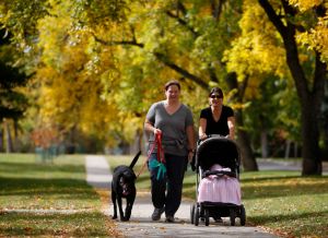 Board will take another run at boosting number of Billings pet licenses
