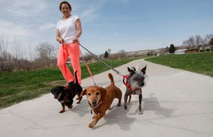 2 automated counters could boost Billings trail system