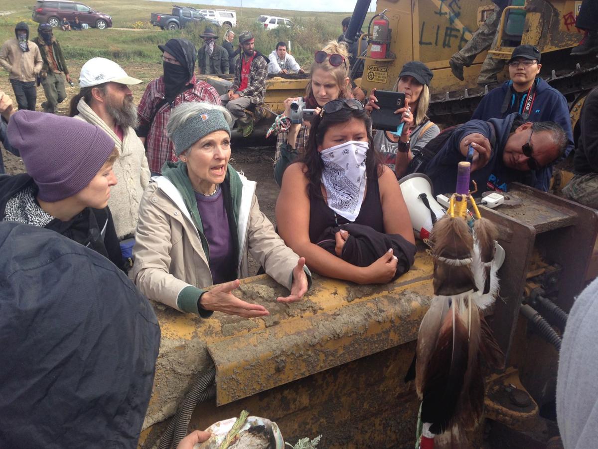 Image result for jill stein dapl