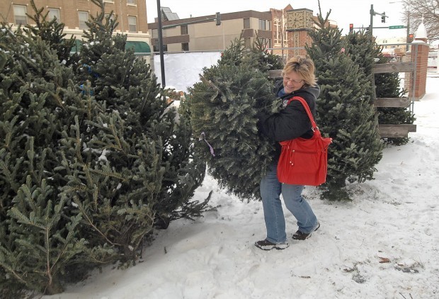 christmas tree sales begin in bis man local news for christmas tree sales begin in bis man local news for