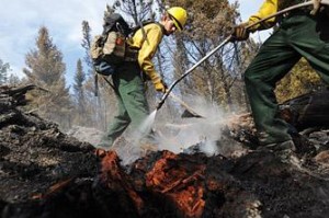 Bridger Canyon fire subsiding 