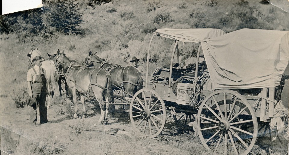 Carl Wilcoxson 1914 Yellowstone Park