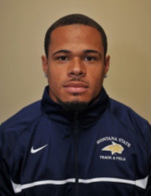 Msu chris wilson thesis 08 image