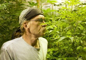 Medical marijuana patient Dean Folda