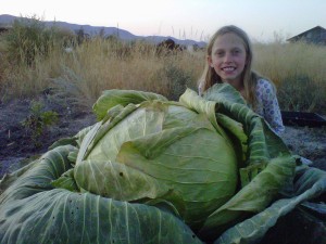 Meadow Zelenitz-McCracken