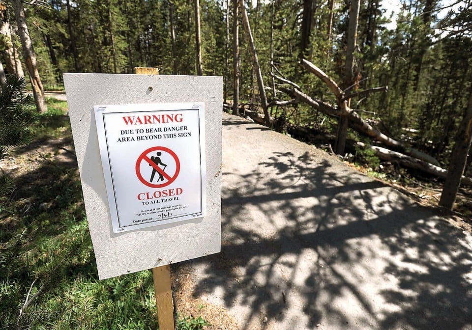 Victim of bear attack on fourth visit to Yellowstone | Regional News