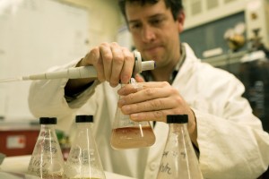 Fungus to help make fuel