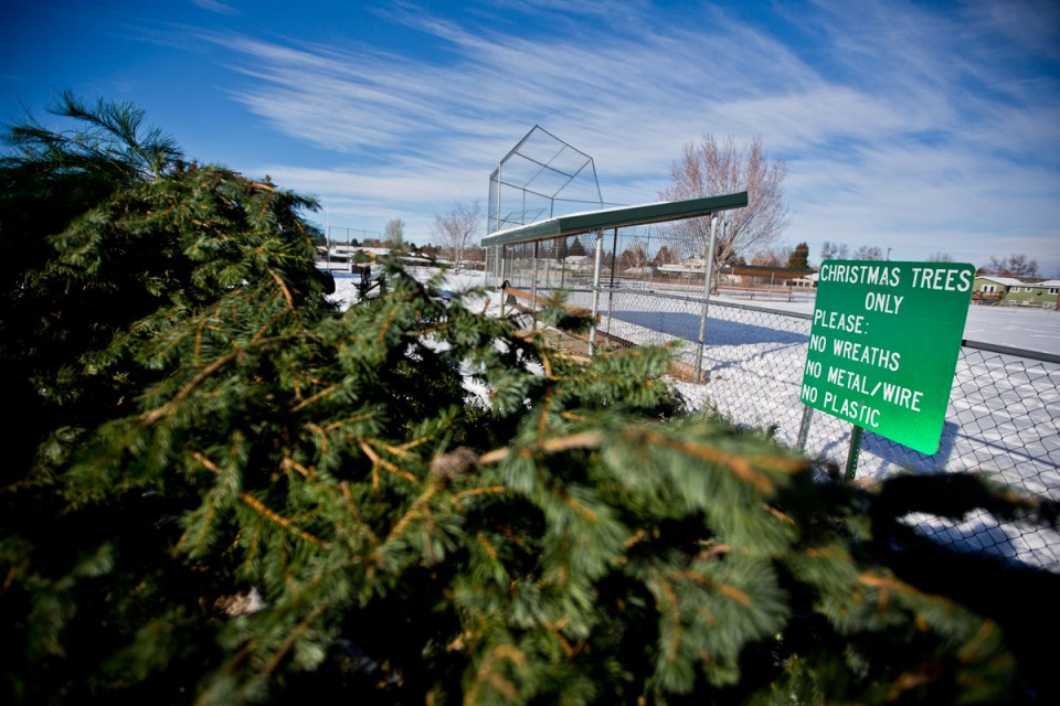 city of chicago recycling christmas trees city of chicago recycling christmas trees