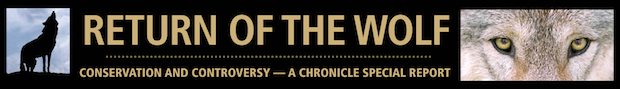Wolf Series Masthead