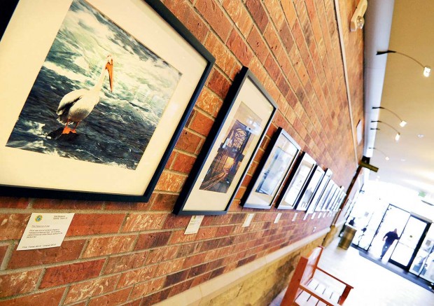 Camera Club of Bozeman exhibit a photographic journey