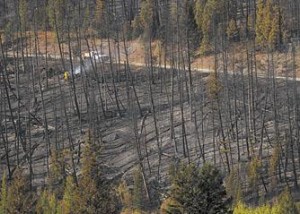Crews corral Bridger Canyon fire 