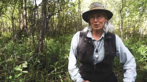 <p>Mycologist Cathy Cripps, of Montana State University's Department of Plant Sciences &amp; Plant Pathology, discusses morel mushrooms during a trip to the forest on Monday.</p>
