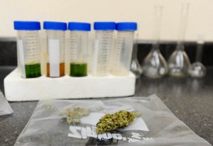 Medical marijuana in the lab