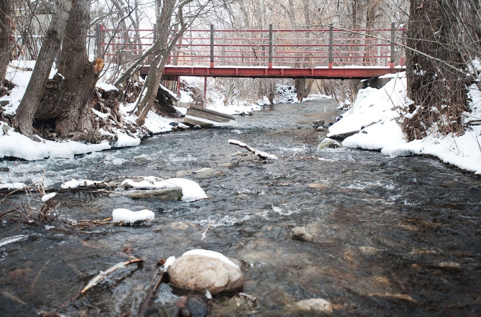 Park Service to help with East Gallatin Rec Area, Bozeman Creek